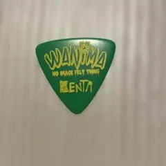 WANIMA KENTA 모델 기타 픽