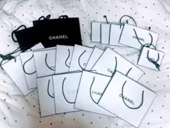CHANEL　紙袋セット黒大2枚、白大11枚、中4枚、小1枚　ショップ袋