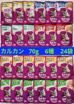 Item thumbnail for item b4705ccb-6f48-4501-83a3-fd51c68ca56d