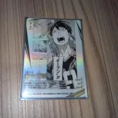 ハイキュー!! バボカ　影山頂p