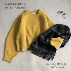 極美品 ビューティ&ユース ハミルトンウールアゼショートクルーネックニット