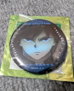 鬼滅の刃無限城編ものがたる眼差しコレクション缶バッジ☆冨岡義勇