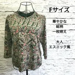 総柄 エスニック風デザイン 長袖 F相当 きれいめ 個性的 カットソー