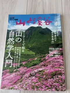 Amelie プロフご覧ください⭐︎様 リクエスト 2点 まとめ商品