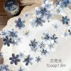 xi130s♦︎小白家-深海蓝 PET 贝壳光 1ループ 1.5m