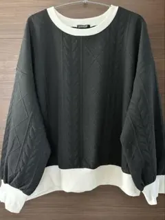 Item thumbnail for item 8bbfad49-a84b-4b38-af3e-8b1ebe704e53