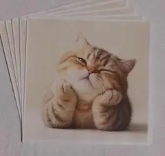 リッティー様 リクエスト 2点 まとめ商品