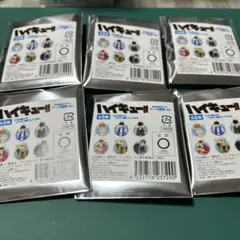 ハイキュー トレーディングアクリルキーホルダー プール掃除ver.