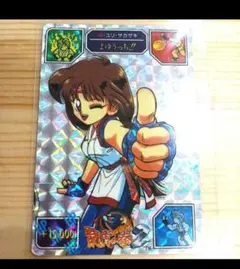 NEOGEO データファイルカード 餓狼伝説 KOF 龍虎の拳 16枚セット NEOGEO データファイルカード 餓狼伝説 KOF 龍虎の拳 16枚セット
