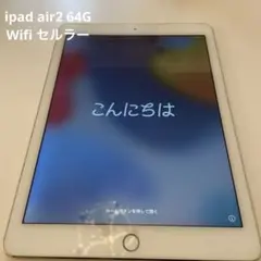 動作品iPad Air 2 wifi + cellular 64GB