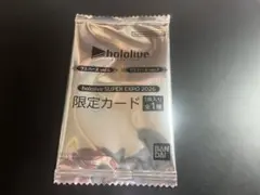 スバルドダック　ホロライブ　EXPO