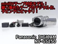 2025年最新】nv-gs250の人気アイテム - メルカリ