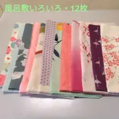 Item thumbnail for item 7488fea2-f005-4ab5-96d1-32177f920bd5