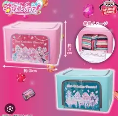 全2種セット　名探偵プリキュア！ 窓付き収納ボックスのサムネイル