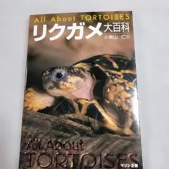 choooco様 リクエスト 2点 まとめ商品