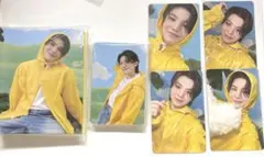 ウジ コンプリート Carat盤