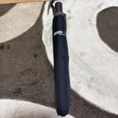 Item thumbnail for item 145340f2-07a3-44ba-8f16-3c4a5b1eca02