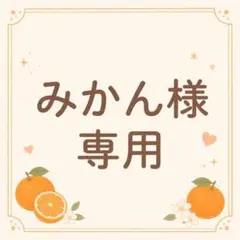 みかん様専用 eSpring2浄水器用 切り替えバルブ Mアムウェイのサムネイル