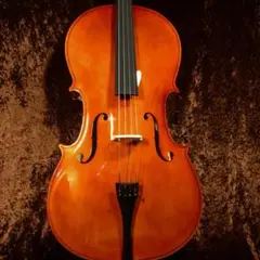 2026年最新】チェロ弓の人気アイテム - メルカリ