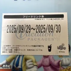 2025年最新】バケーションパッケージ フリードリンクの人気