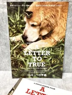 ブルース・ウェバー Bruce Weber 映画ポスター トゥルーへの手紙 ブルース・ウェバー Bruce Weber 映画ポスター トゥルーへの手紙