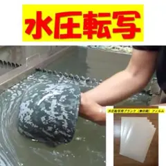 Item thumbnail for item 6801266c-c38c-4f9d-9456-4e36a44c83f1