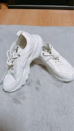 ケミ様専用 【新品未使用】NIKE ウィメンズ TC7900 25.5cm