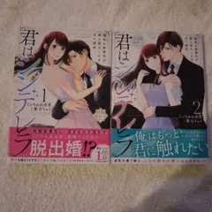 君はシンデレラ～孤高な御曹司が絶え間なく愛を注ぐ理由～【財閥御曹司シリーズ】