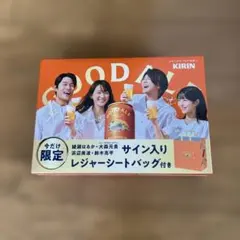 KIRIN GOOD ALE サイン入りレジャーシートバッグ付きのサムネイル