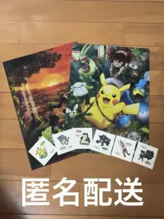 ポケモン 劇場版 ココ クリアファイル ポケモンパンシール