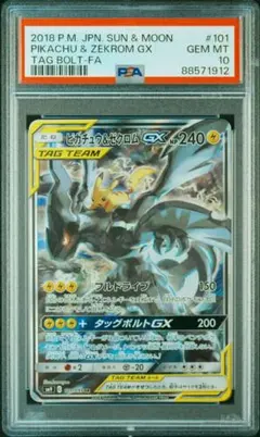 【ARS10】ピカチュウ＆ゼクロム SA ピカチュウ＆ゼクロムGX(SA)【SR】{101/095}