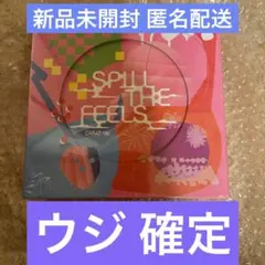 SEVENTEEN SPILL THE FEELS CARAT盤 ウジ確定