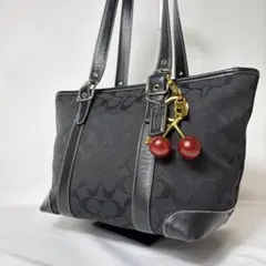 COACH Signature Canvas Tote Bag leather