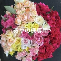 あやの様 リクエスト 3点 まとめ商品