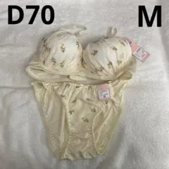 D70ブラ&ショーツM セット品