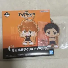 ハイキュー‼︎一番くじアクリルチャーム澤村大地