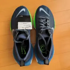 ナイキ インヴィンシブル 3  25.5cm