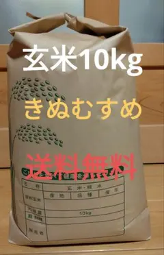 個数限定 令和7年度 大阪産 玄米 キヌヒカリ 10kg - メルカリ