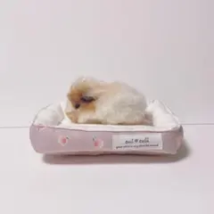 Item thumbnail for item 92206429-581e-4649-b6f4-cbdf1773d3bc