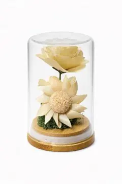 Item thumbnail for item 4c9b3ad4-0b24-4e61-afc0-82bf4fd340dd