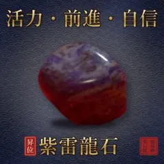 【開運祈願】紫雷龍石 霊石 一点物｜龍波動霊石院