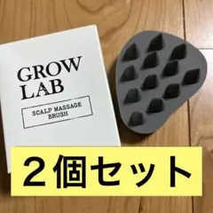 GROW LAB グロウラボ スカルプブラシ 頭皮マッサージ 新品　２個セットのサムネイル