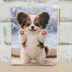 【Pie様ご確認用】❤フラットポーチ❤小物ポーチ❤パピヨン