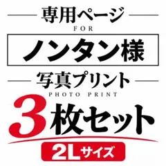ノンタン様 リクエスト 2点 まとめ商品 - 2L