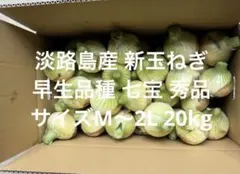 千葉県 白子町産 新玉ねぎ 20kg - メルカリ