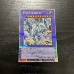 25th 青眼の双爆裂龍 青眼の精霊龍 カード セット 25th 青眼の双爆裂龍 青眼の精霊龍 カード セット 青眼の双爆裂