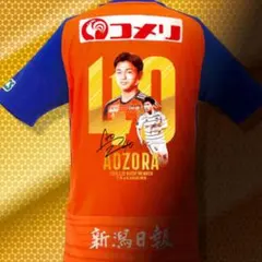 アルビレックス新潟 ユニフォーム 高木善朗 神ユニ アルビレックス新潟 高木善朗 ユニフォーム - メルカリ