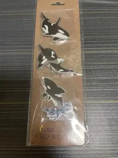 Item thumbnail for item 65f8bd09-9394-46ab-8259-e22fa9eccc1a