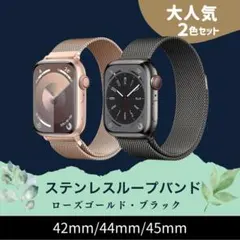 2本セット ステンレスループバンド ローズゴールド・ブラック 42/44/45