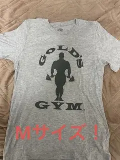 グレー Tシャツ
